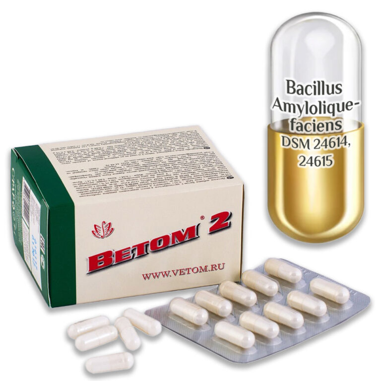 Probiotikum Vetom 2  kapszula 50 szemes (étrend-kiegészitő)