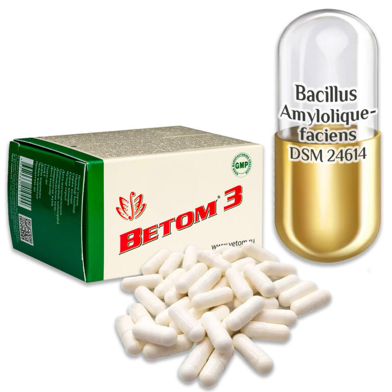 Probiotikum Vetom 3 kapszula 50 szemes (étrend-kiegészitő)