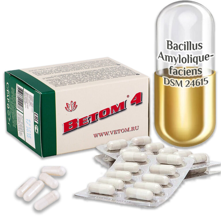 Probiotikum Vetom 4 kapszula 50 szemes (étrend-kiegészitő)